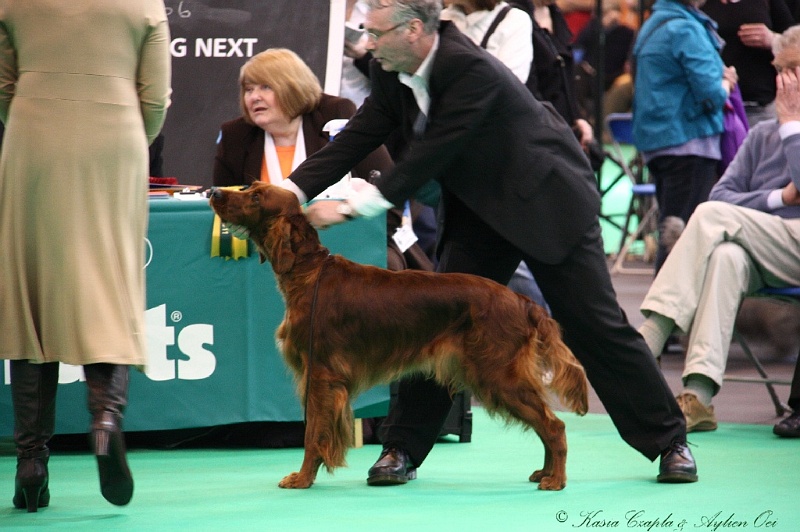 Crufts2011 423.jpg